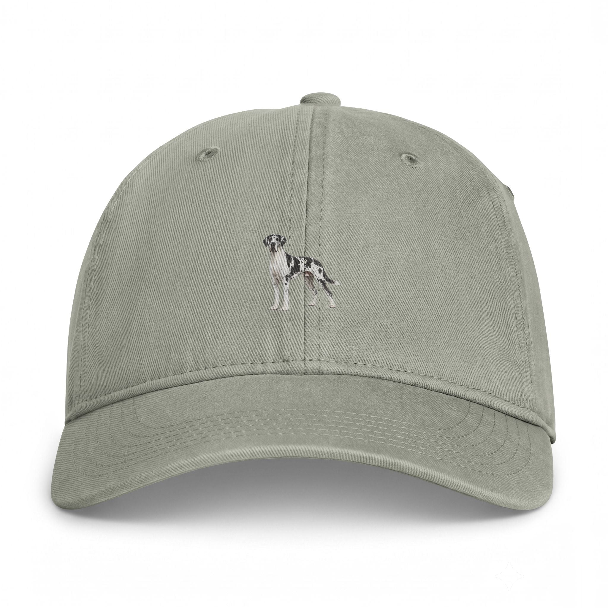 Washed Baseball Cap — Coastal Greyhound Patch