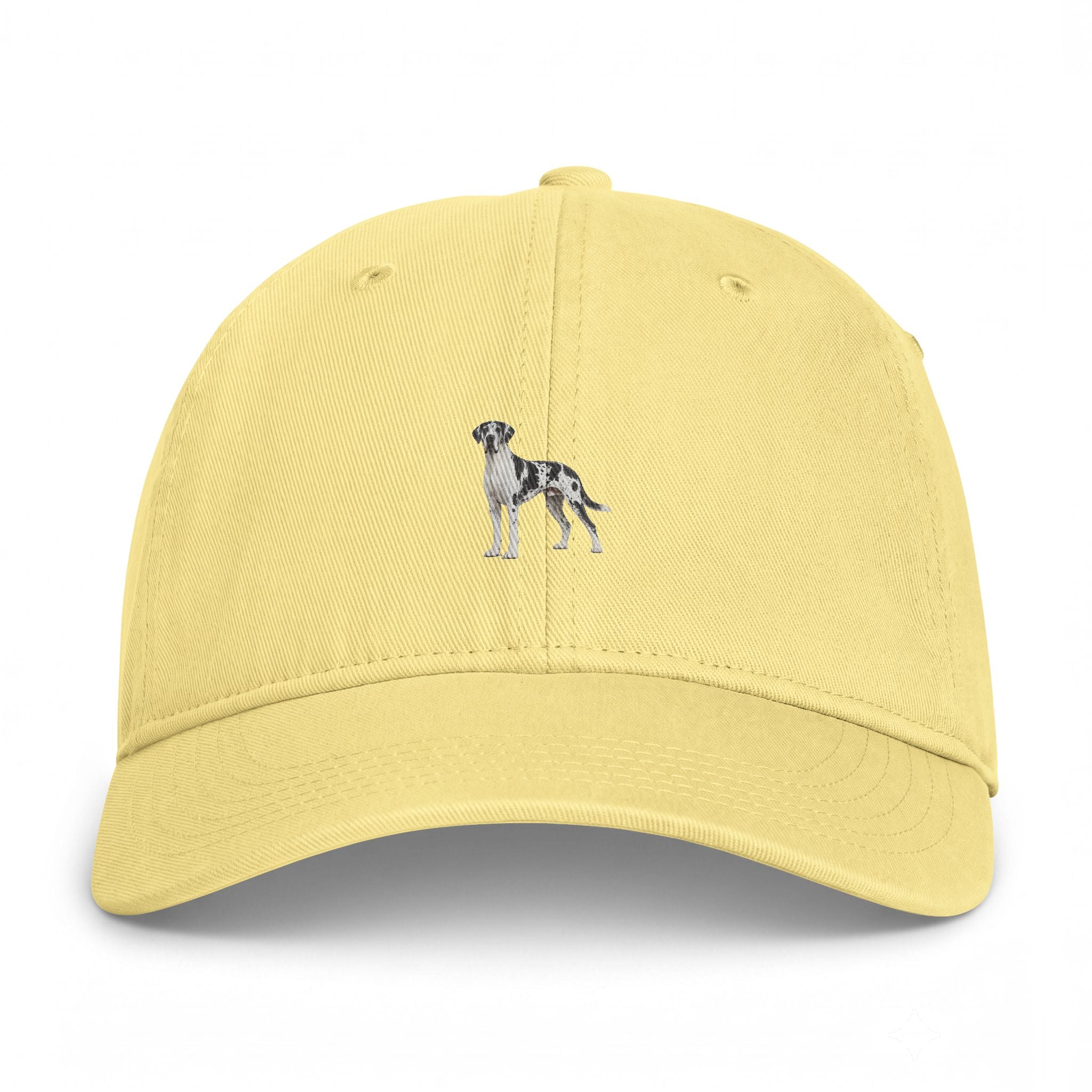 Washed Baseball Cap — Coastal Greyhound Patch